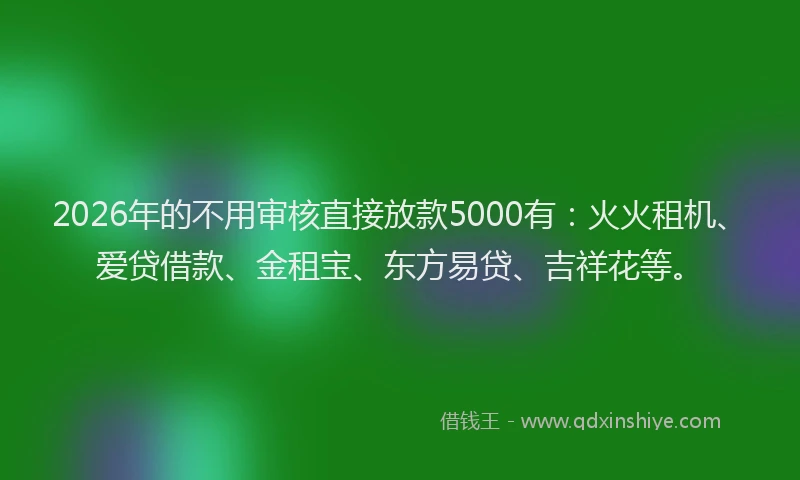 2026年的不用审核直接放款5000有：火火租机、爱贷借款、金租宝、东方易贷、吉祥花等。