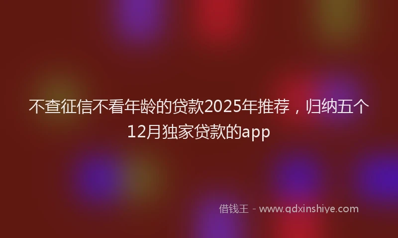 不查征信不看年龄的贷款2025年推荐，归纳五个12月独家贷款的app
