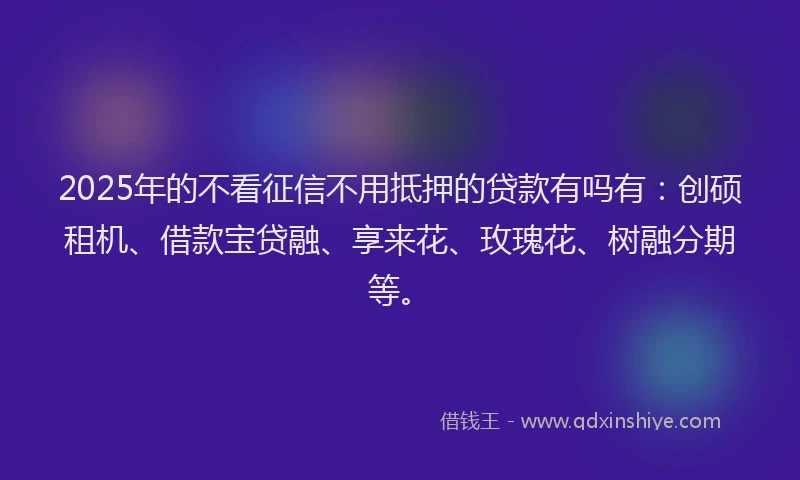 2025年的不看征信不用抵押的贷款有吗有：创硕租机、借款宝贷融、享来花、玫瑰花、树融分期等。