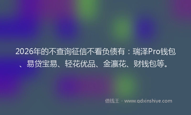 2026年的不查询征信不看负债有：瑞泽Pro钱包、易贷宝易、轻花优品、金瀛花、财钱包等。
