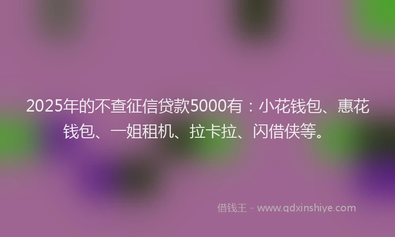 2025年的不查征信贷款5000有：小花钱包、惠花钱包、一姐租机、拉卡拉、闪借侠等。