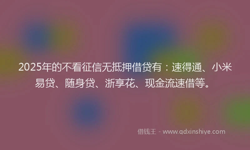 2025年的不看征信无抵押借贷有：速得通、小米易贷、随身贷、浙享花、现金流速借等。