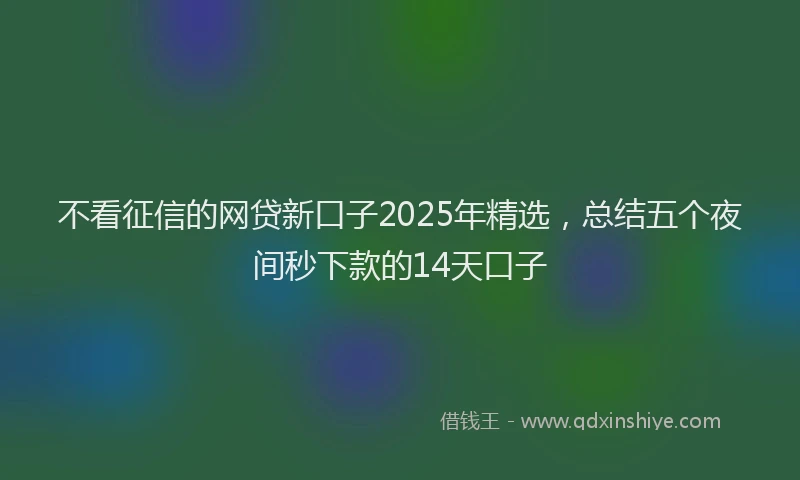 不看征信的网贷新口子2025年精选，总结五个夜间秒下款的14天口子