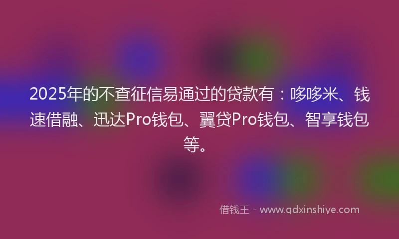 2025年的不查征信易通过的贷款有：哆哆米、钱速借融、迅达Pro钱包、翼贷Pro钱包、智享钱包等。