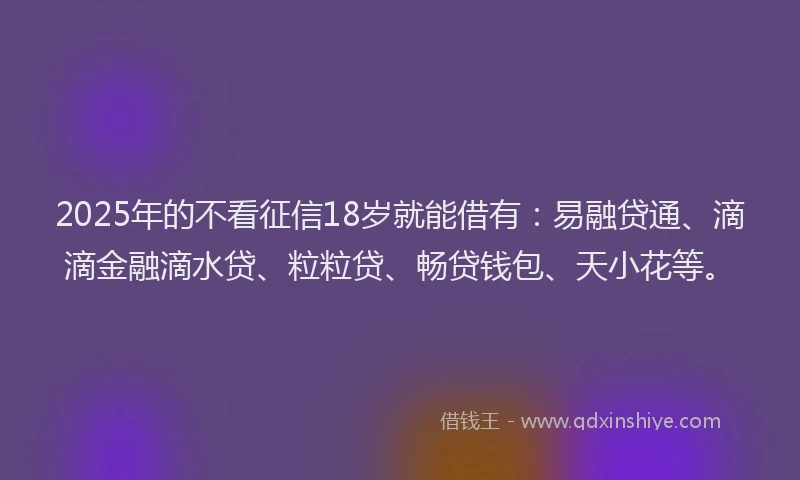 2025年的不看征信18岁就能借有：易融贷通、滴滴金融滴水贷、粒粒贷、畅贷钱包、天小花等。