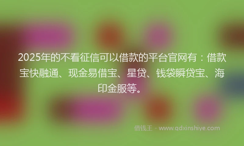 2025年的不看征信可以借款的平台官网有：借款宝快融通、现金易借宝、星贷、钱袋瞬贷宝、海印金服等。