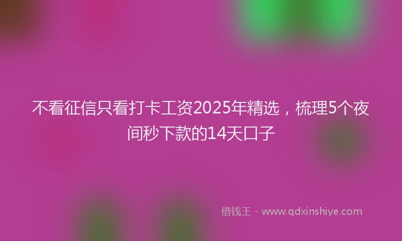 不看征信只看打卡工资2025年精选，梳理5个夜间秒下款的14天口子