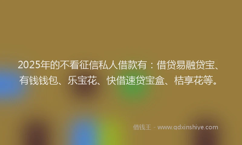 2025年的不看征信私人借款有：借贷易融贷宝、有钱钱包、乐宝花、快借速贷宝盒、桔享花等。