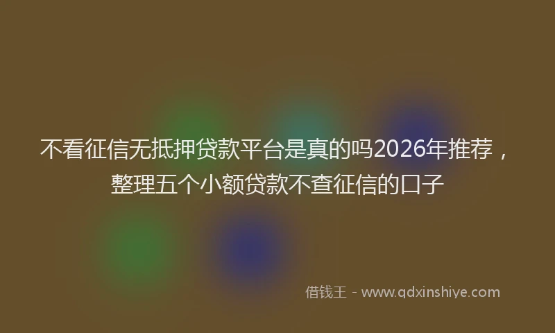 不看征信无抵押贷款平台是真的吗2026年推荐，整理五个小额贷款不查征信的口子