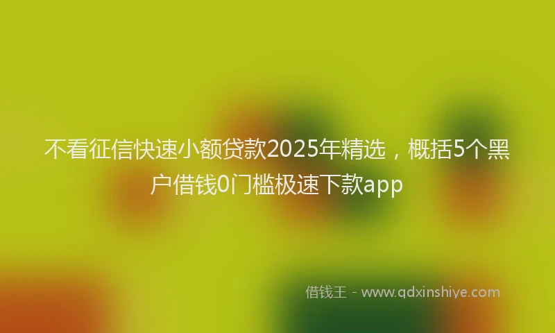 不看征信快速小额贷款2025年精选，概括5个黑户借钱0门槛极速下款app