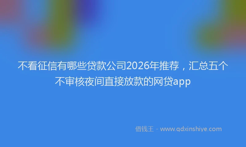 不看征信有哪些贷款公司2026年推荐，汇总五个不审核夜间直接放款的网贷app