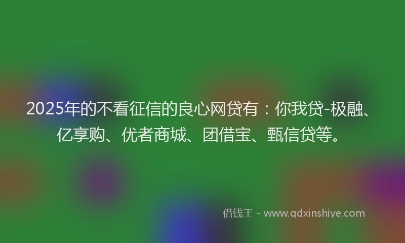 2025年的不看征信的良心网贷有:你我贷-极融、亿享购、优者商城、团借宝、甄信贷等。