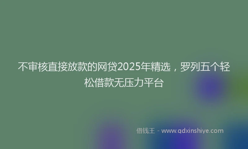 不审核直接放款的网贷2025年精选，罗列五个轻松借款无压力平台