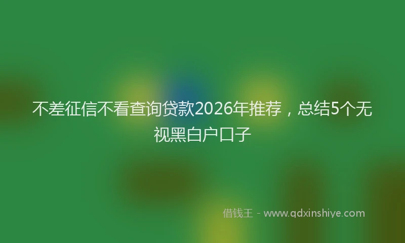 不差征信不看查询贷款2026年推荐，总结5个无视黑白户口子