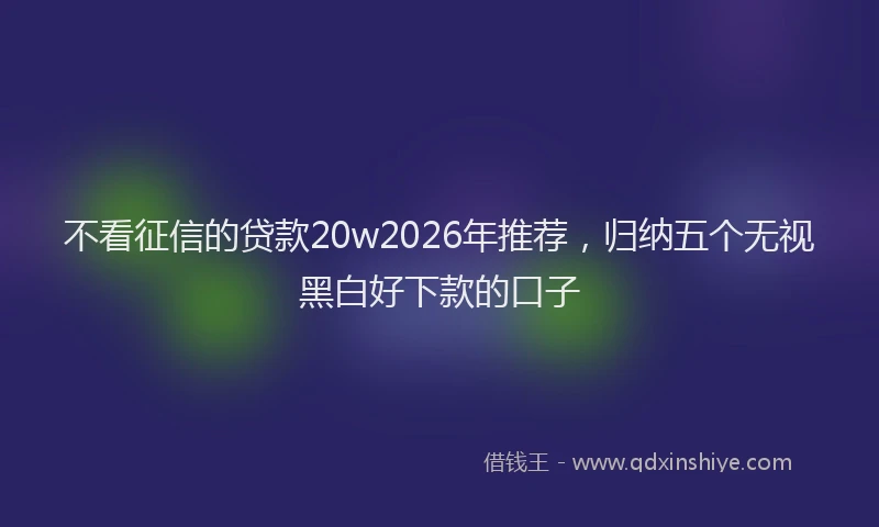 不看征信的贷款20w2026年推荐,归纳五个无视黑白好下款的口子