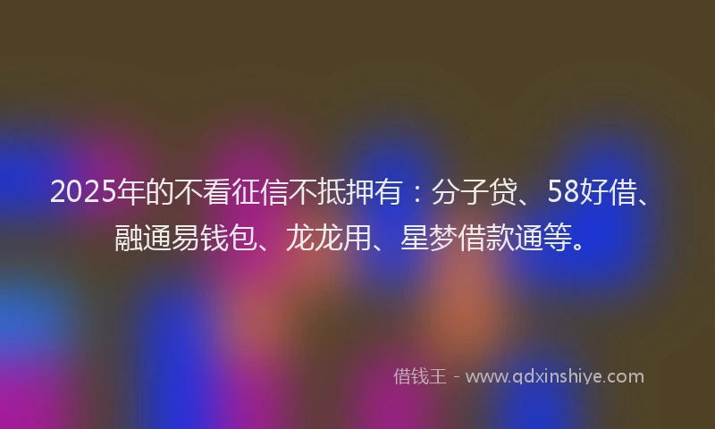 2025年的不看征信不抵押有：分子贷、58好借、融通易钱包、龙龙用、星梦借款通等。