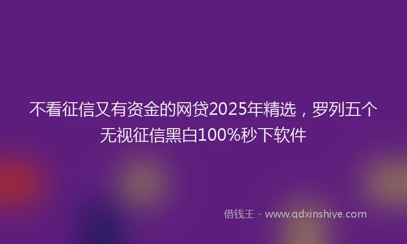 不看征信又有资金的网贷2025年精选，罗列五个无视征信黑白100%秒下软件