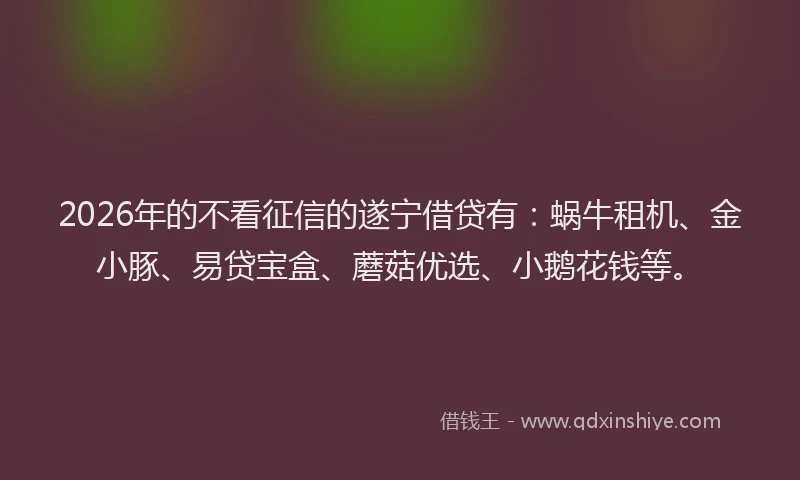 2026年的不看征信的遂宁借贷有：蜗牛租机、金小豚、易贷宝盒、蘑菇优选、小鹅花钱等。