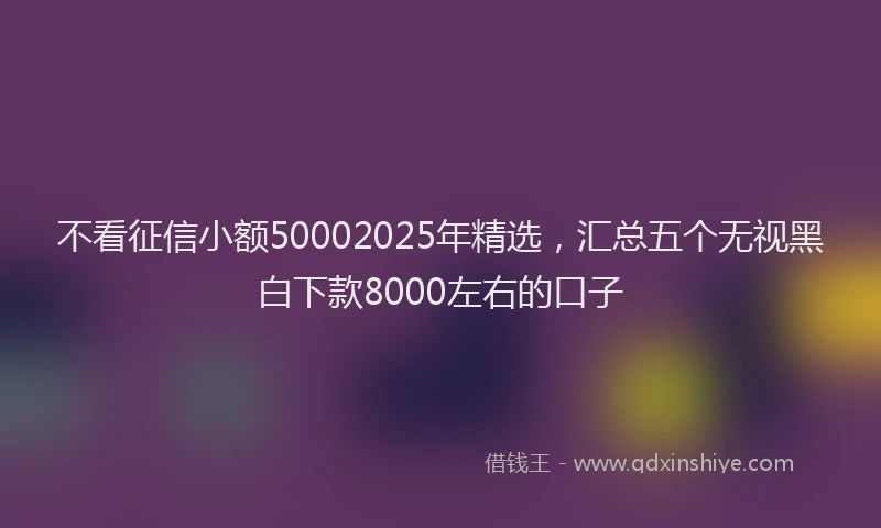 不看征信小额50002025年精选，汇总五个无视黑白下款8000左右的口子