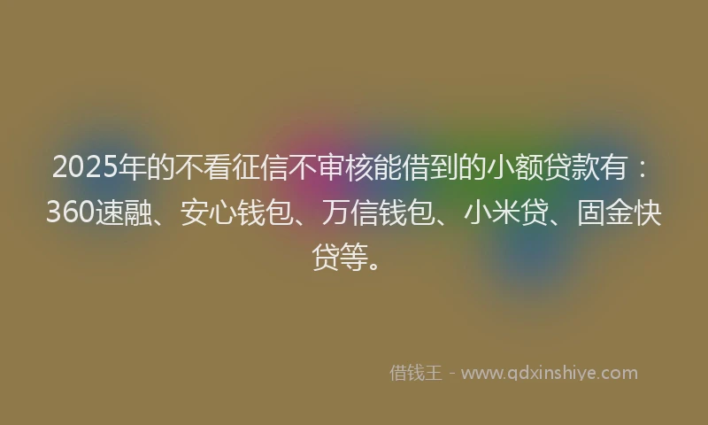 2025年的不看征信不审核能借到的小额贷款有:360速融、安心钱包、万信钱包、小米贷、固金快贷等。