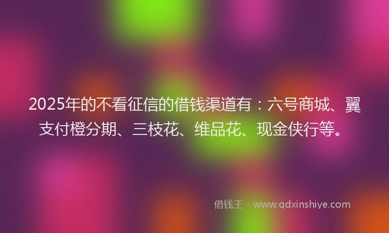 2025年的不看征信的借钱渠道有：六号商城、翼支付橙分期、三枝花、维品花、现金侠行等。