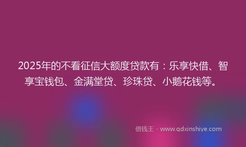 2025年的不看征信大额度贷款有：乐享快借、智享宝钱包、金满堂贷、珍珠贷、小鹅花钱等。