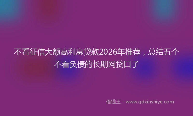 不看征信大额高利息贷款2026年推荐，总结五个不看负债的长期网贷口子