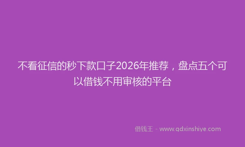 不看征信的秒下款口子2026年推荐，盘点五个可以借钱不用审核的平台