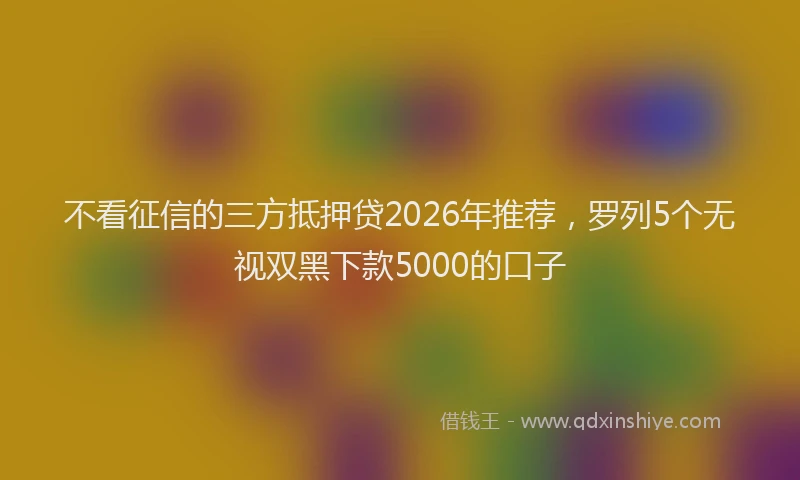 不看征信的三方抵押贷2026年推荐，罗列5个无视双黑下款5000的口子