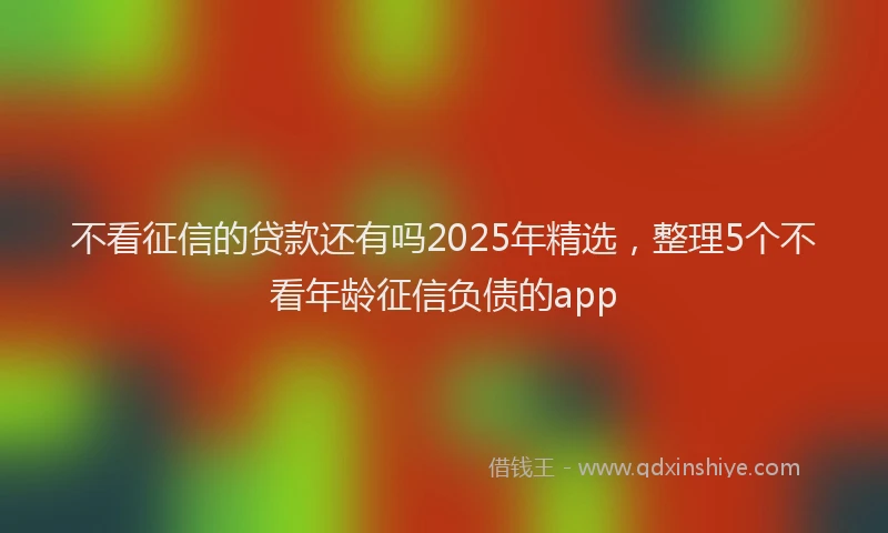 不看征信的贷款还有吗2025年精选，整理5个不看年龄征信负债的app