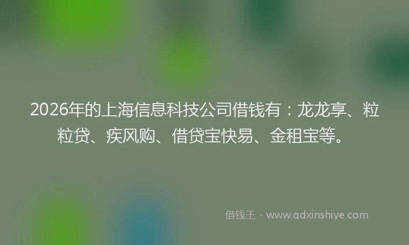 2026年的上海信息科技公司借钱有：龙龙享、粒粒贷、疾风购、借贷宝快易、金租宝等。