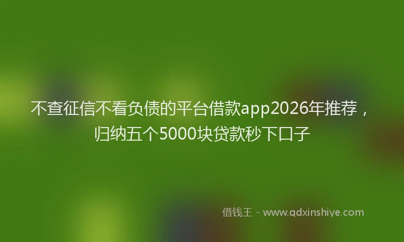 不查征信不看负债的平台借款app2026年推荐，归纳五个5000块贷款秒下口子