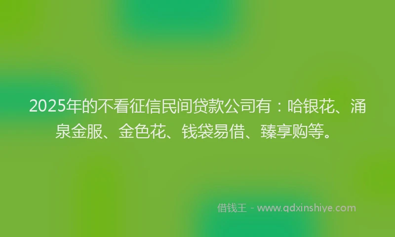 2025年的不看征信民间贷款公司有：哈银花、涌泉金服、金色花、钱袋易借、臻享购等。