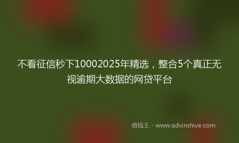 不看征信秒下10002025年精选，整合5个真正无视逾期大数据的网贷平台