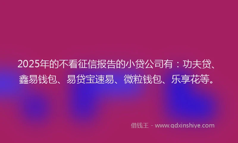 2025年的不看征信报告的小贷公司有：功夫贷、鑫易钱包、易贷宝速易、微粒钱包、乐享花等。