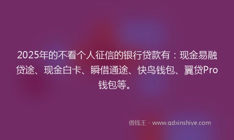 2025年的不看个人征信的银行贷款有：现金易融贷途、现金白卡、瞬借通途、快鸟钱包、翼贷Pro钱包等。