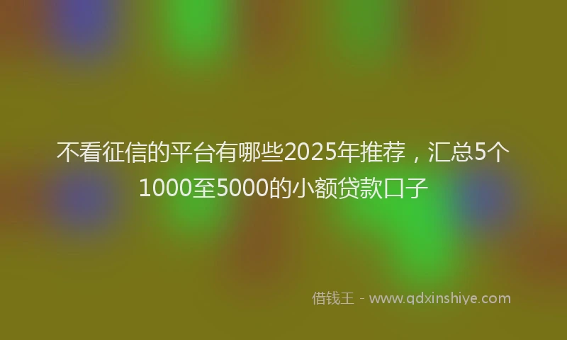 不看征信的平台有哪些2025年推荐，汇总5个1000至5000的小额贷款口子
