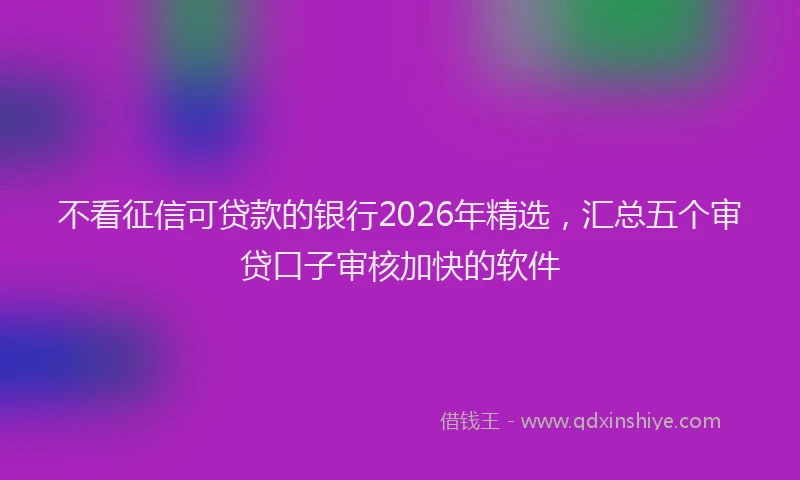 不看征信可贷款的银行2026年精选，汇总五个审贷口子审核加快的软件