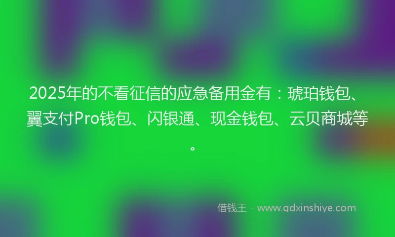 2025年的不看征信的应急备用金有：琥珀钱包、翼支付Pro钱包、闪银通、现金钱包、云贝商城等。