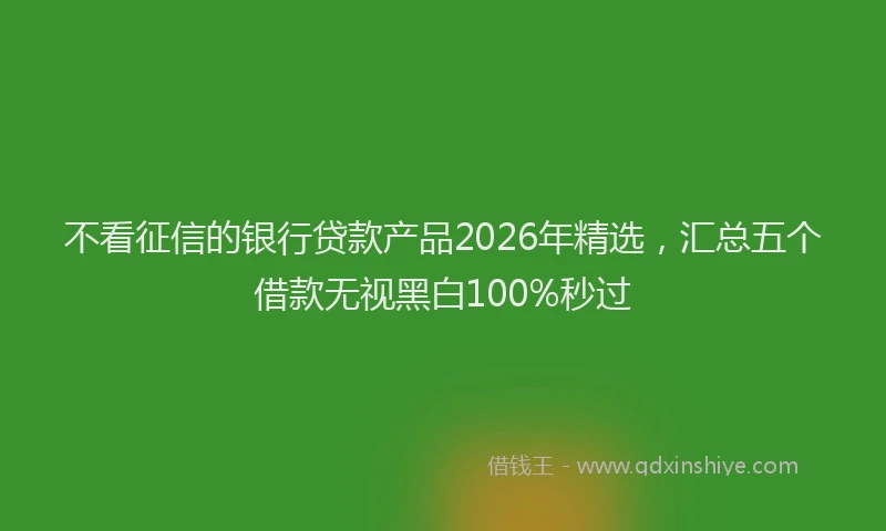 不看征信的银行贷款产品2026年精选，汇总五个借款无视黑白100%秒过