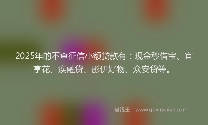 2025年的不查征信小额贷款有：现金秒借宝、宜享花、疾融贷、彤伊好物、众安贷等。