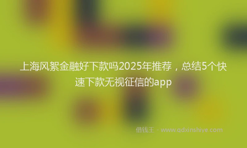 上海风絮金融好下款吗2025年推荐，总结5个快速下款无视征信的app