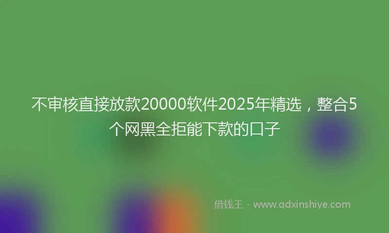 不审核直接放款20000软件2025年精选，整合5个网黑全拒能下款的口子
