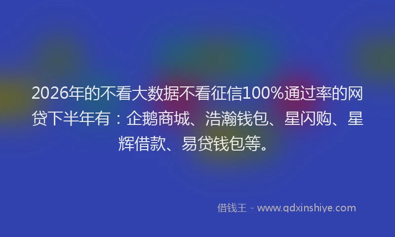 2026年的不看大数据不看征信100%通过率的网贷下半年有：企鹅商城、浩瀚钱包、星闪购、星辉借款、易贷钱包等。