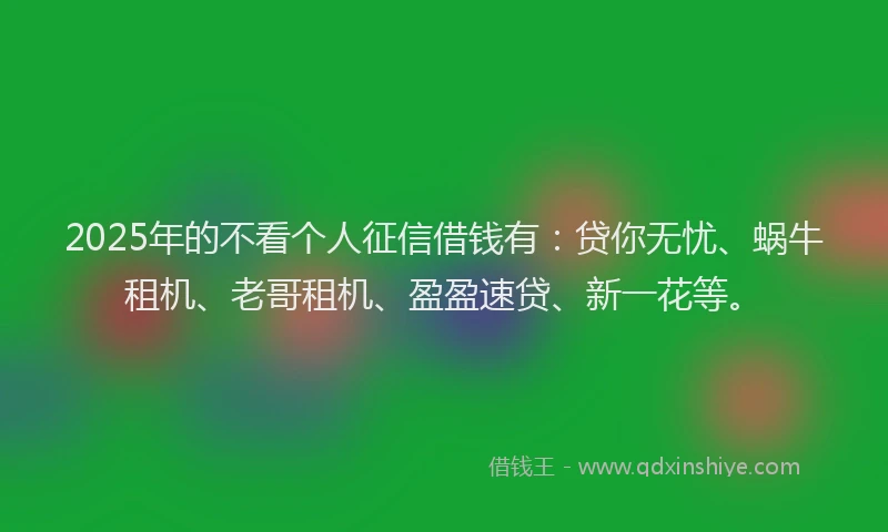 2025年的不看个人征信借钱有:贷你无忧、蜗牛租机、老哥租机、盈盈速贷、新一花等。