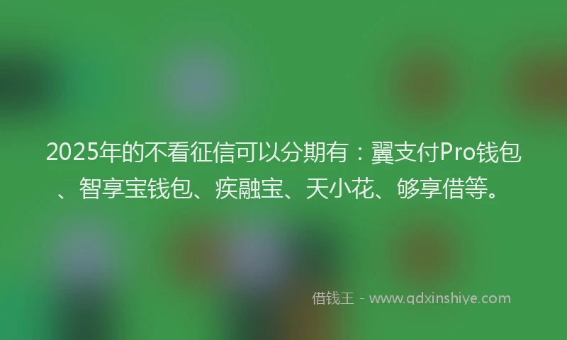 2025年的不看征信可以分期有:翼支付Pro钱包、智享宝钱包、疾融宝、天小花、够享借等。