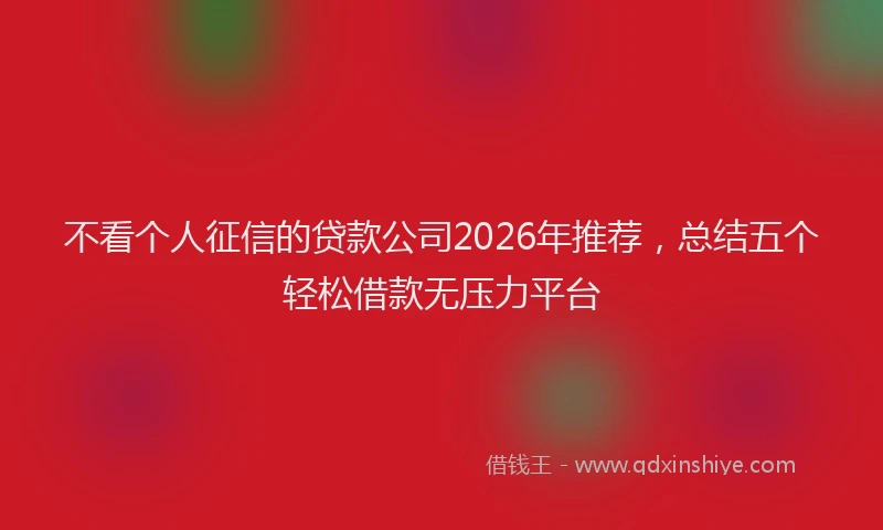 不看个人征信的贷款公司2026年推荐，总结五个轻松借款无压力平台