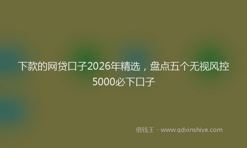 下款的网贷口子2026年精选，盘点五个无视风控5000必下口子
