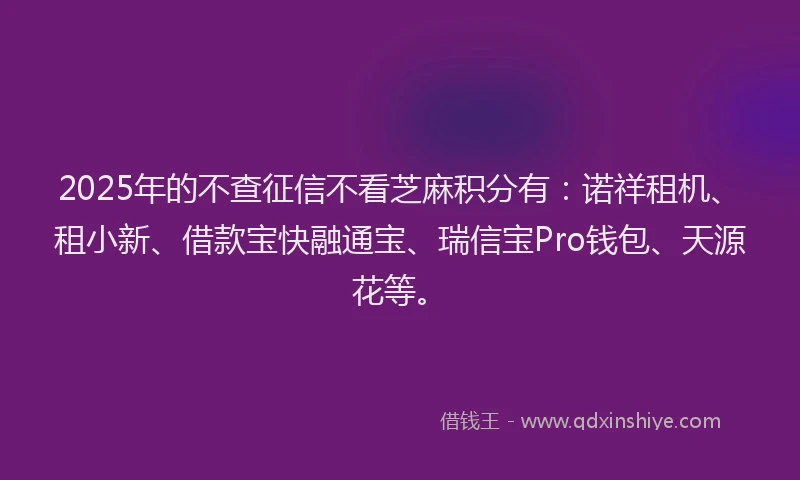 2025年的不查征信不看芝麻积分有：诺祥租机、租小新、借款宝快融通宝、瑞信宝Pro钱包、天源花等。