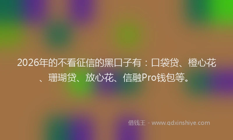 2026年的不看征信的黑口子有：口袋贷、橙心花、珊瑚贷、放心花、信融Pro钱包等。